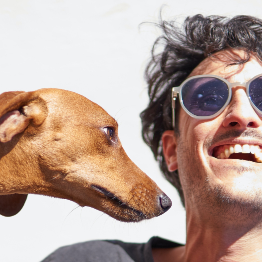 Happiness, Smile, Confidence